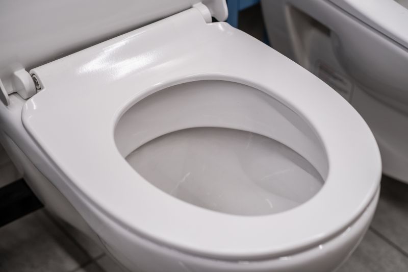 Commercial Toilet Repair detail